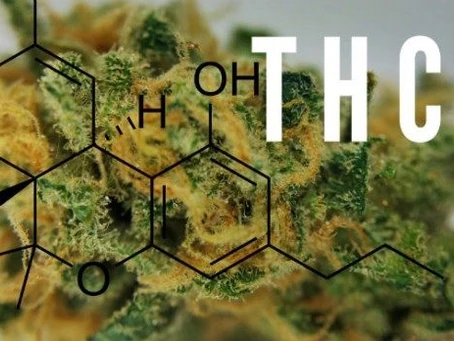 THCV, que es?