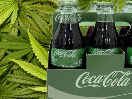 Coca Cola, Constellation Brands grandes compañias interesados en invertir en la marihuana