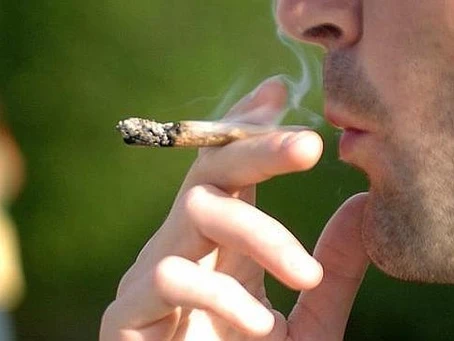 Consumo de marihuana aumento en un 2% en España