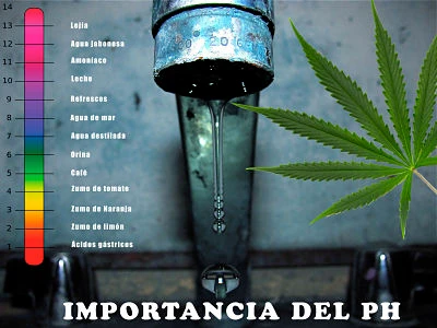 El pH como va con marihuana