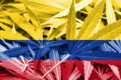 En colombia podras cultivar hasta 20 plantas de marihuana sin licencia