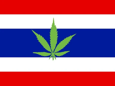 Legal Weed en Tailandia