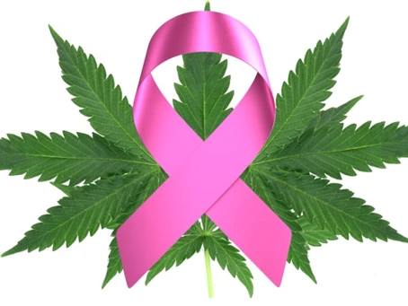 Nauseas y vomitos combatidos con Cannabis (humanos)