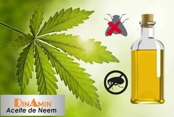 Que es Aceite de Neem
