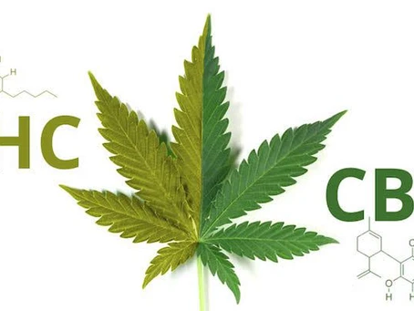THC y CBD ¿En qué se diferencian