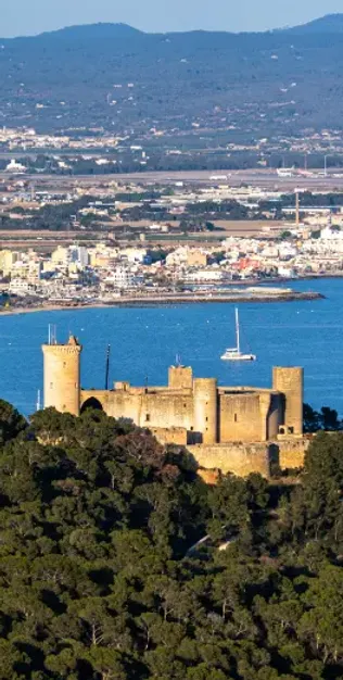 mallorca club cannabico