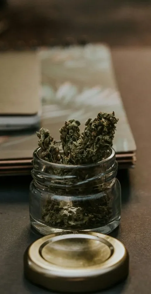 benenficios alicante weedestiny