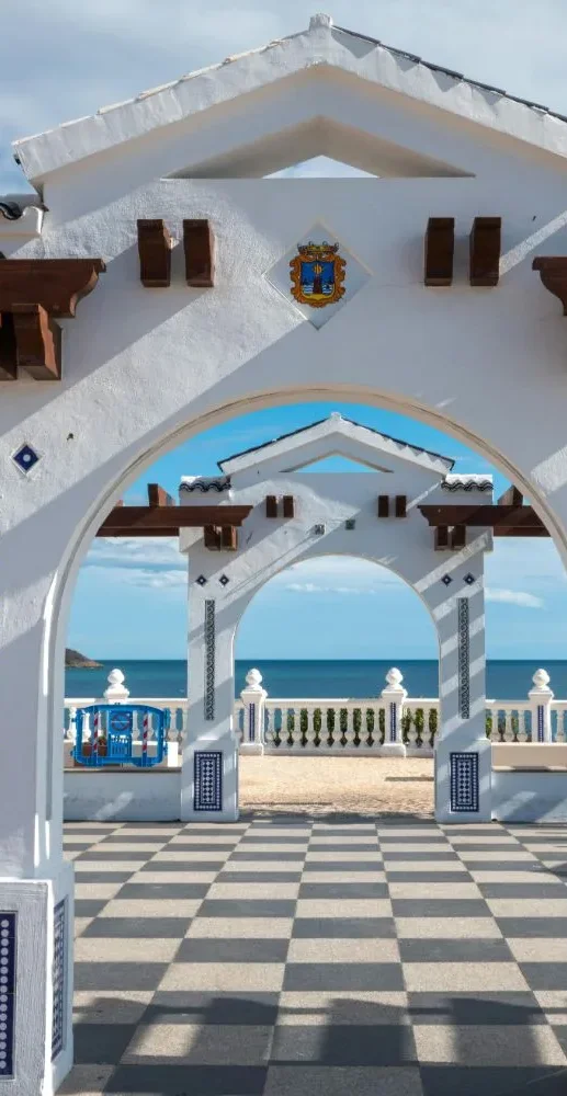 club alicante weedestiny