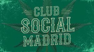 Diferencias entre un CSC y un Coffee Shop: El Modelo Madrileño