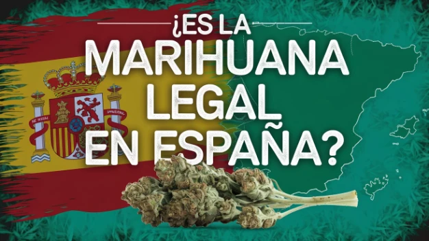 Is Marijuana Legal in Spain?