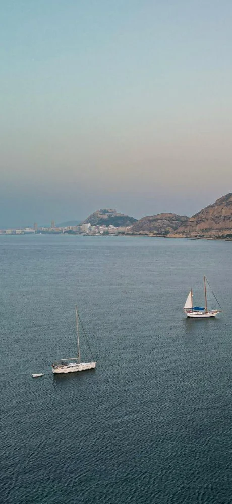 fumadores alicante weedestiny