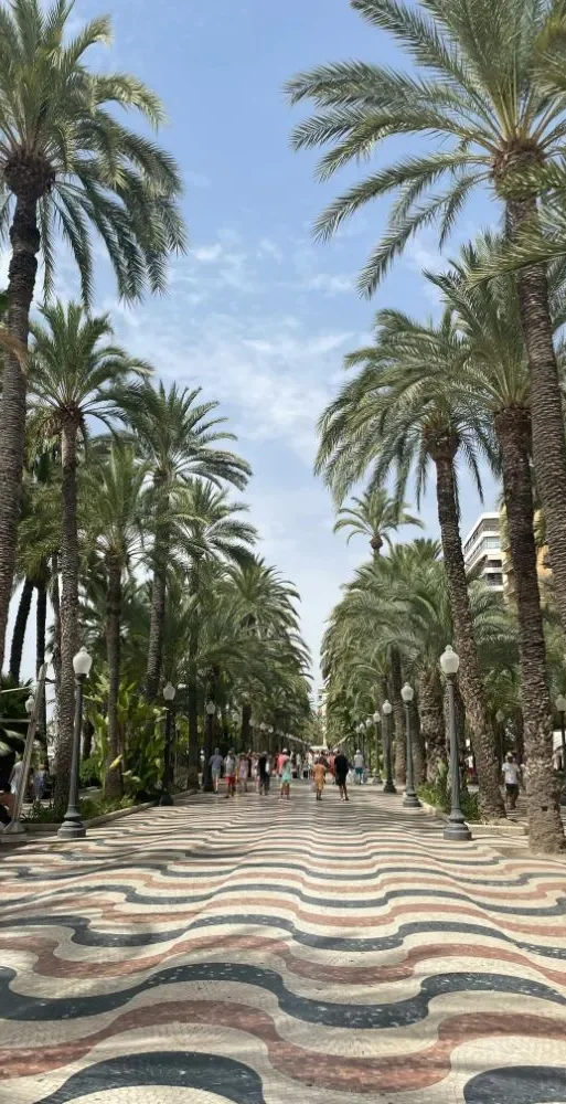 legislacion alicante weedestiny