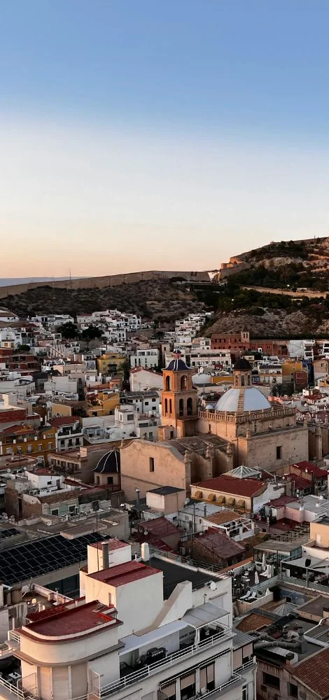 licencia alicante weedestiny