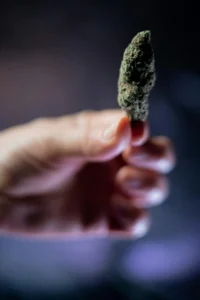 Club social de cannabis Valencia