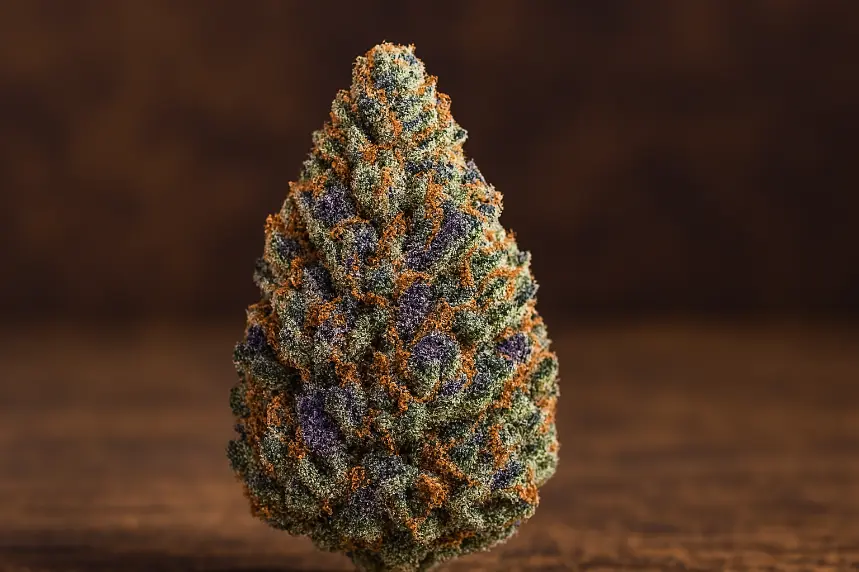 Cheesecake Weed