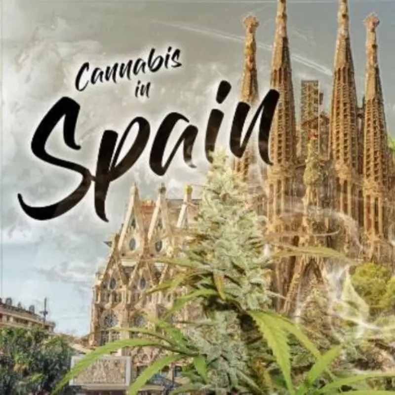 la-marihuana-en-espana