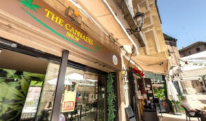 The Cannabis Shop - Valencia