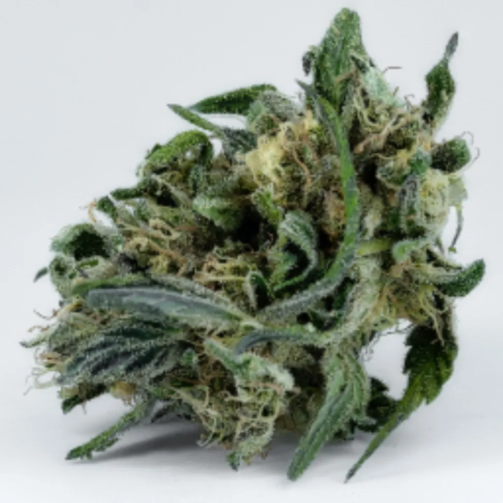 Clubs y asociaciones de cannabis en Almeria