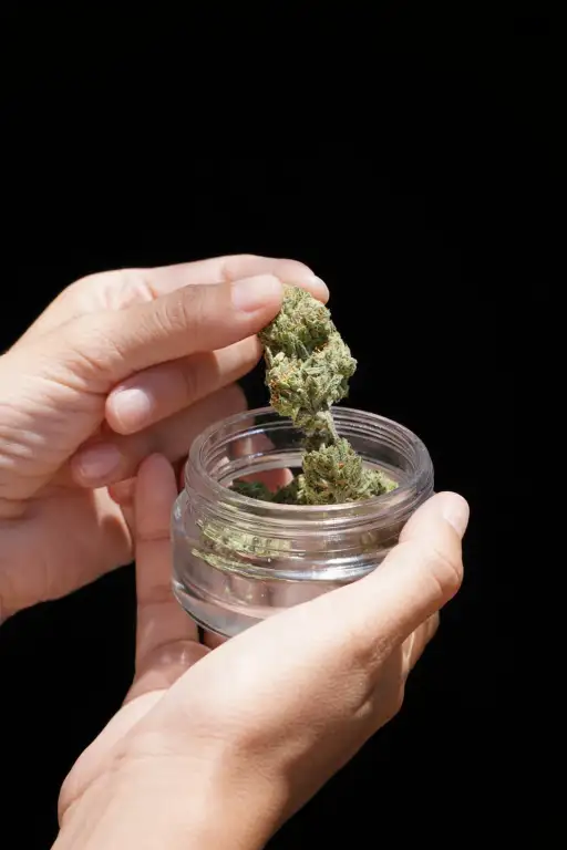 clubs-y-asociaciones-de-cannabis-en-vizcaya