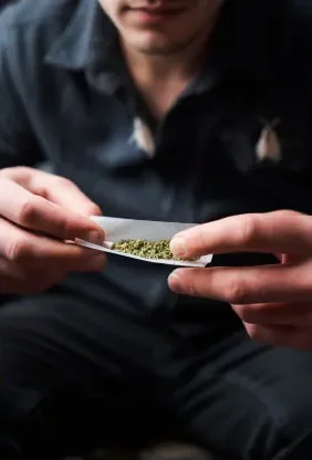 clubs-y-asociaciones-de-cannabis-en-vizcaya