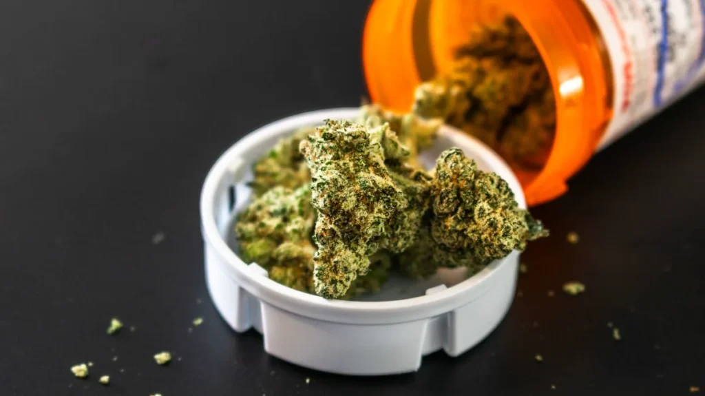 Cannabis buds spilling out of an orange prescription bottle