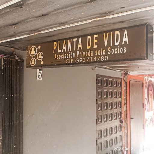Planta de vida
