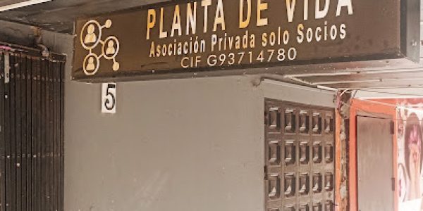 Planta de vida