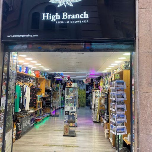 HIGH BRANCH