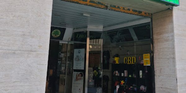 El Templo Del Druida CbdStore