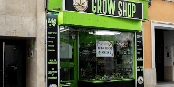 weed