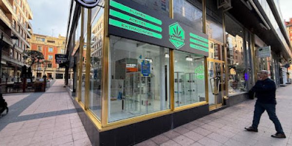 La Familia Cbd Oviedo