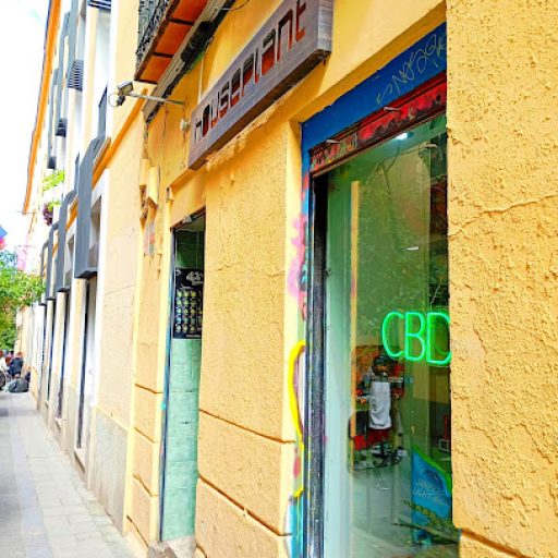 Houseplant Grow Shop