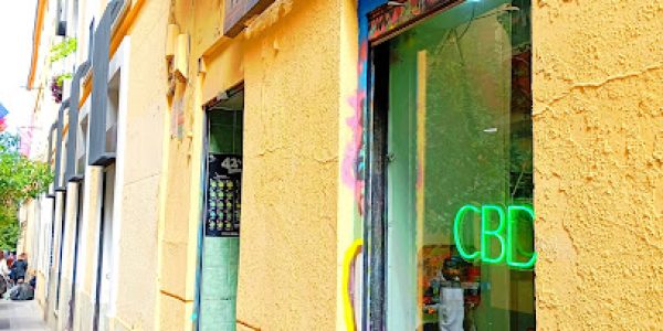 Houseplant Grow Shop