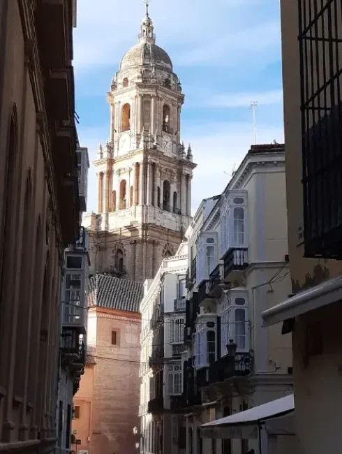 cannabis club en malaga