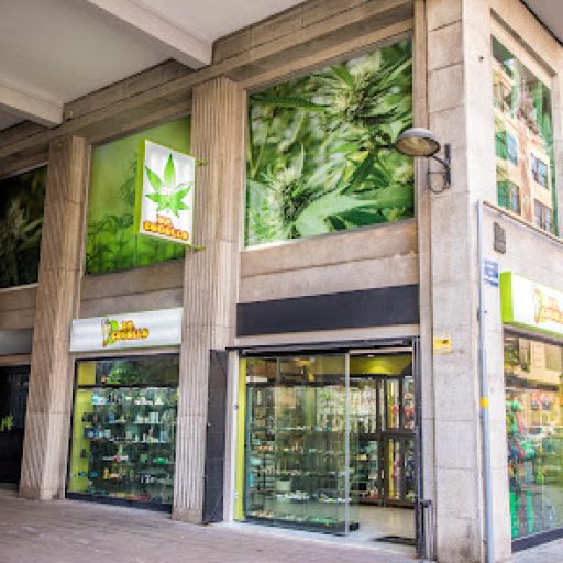 Doctor Cogollo Oficial