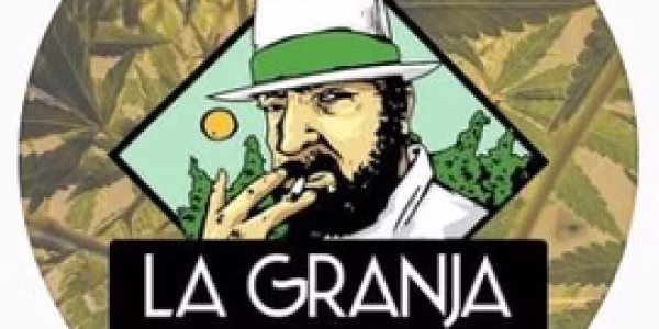 Abstract Architecture .jpg