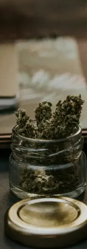 Asociación cannábica Rota