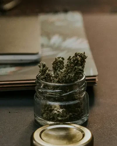 Asociación cannábica Rota