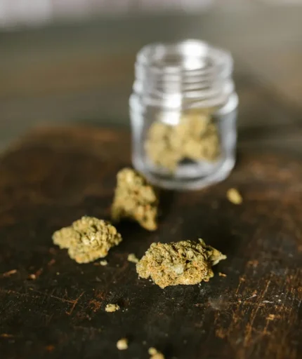 Asociaciones Cannábicas en La Rioja Espacio Seguro y Legal