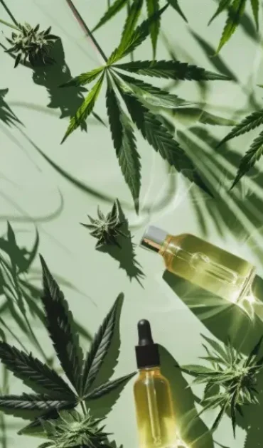 Diferencias entre coffe shops y asociaciones