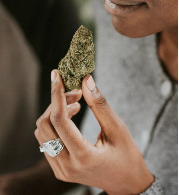 CLUBS Y ASOCIACIONES DE CANNABIS EN MARBELLA