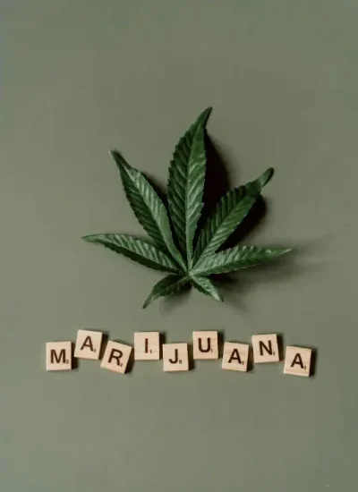 CLUB Y ASOCIACIONES DE CANNABIS EN TARIFA