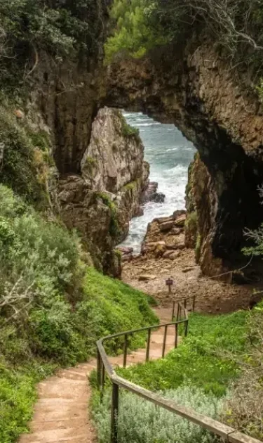 Clubs y Asociaciones de Cannabis en A Coruña