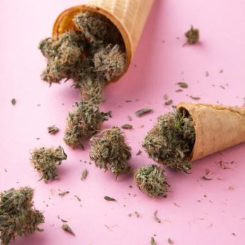 CLUBS Y ASOCIACIONES DE CANNABIS EN MARBELLA