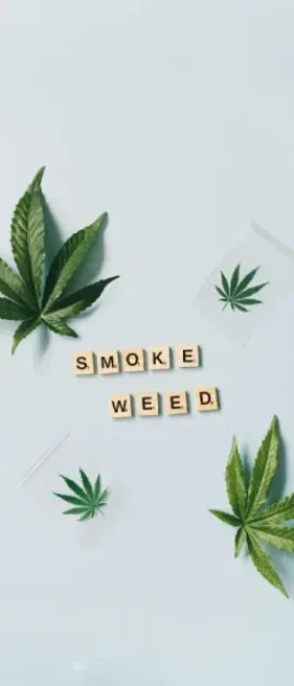 CLUBS Y ASOCIACIONES DE CANNABIS EN TARIFA
