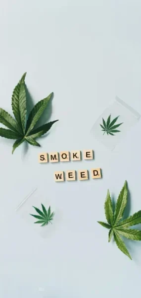 CLUBS Y ASOCIACIONES DE CANNABIS EN TARIFA