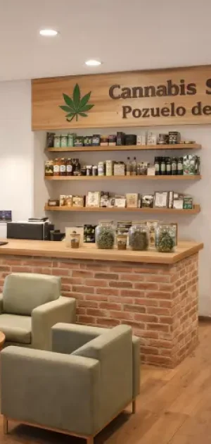 CSC Pozuelo de Alarcon