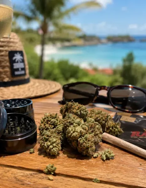 Clubs y Asociaciones de Cannabis Benidorm