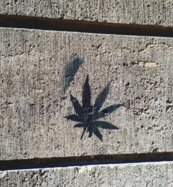 Clubs y Asociaciones de Cannabis Zaragoza
