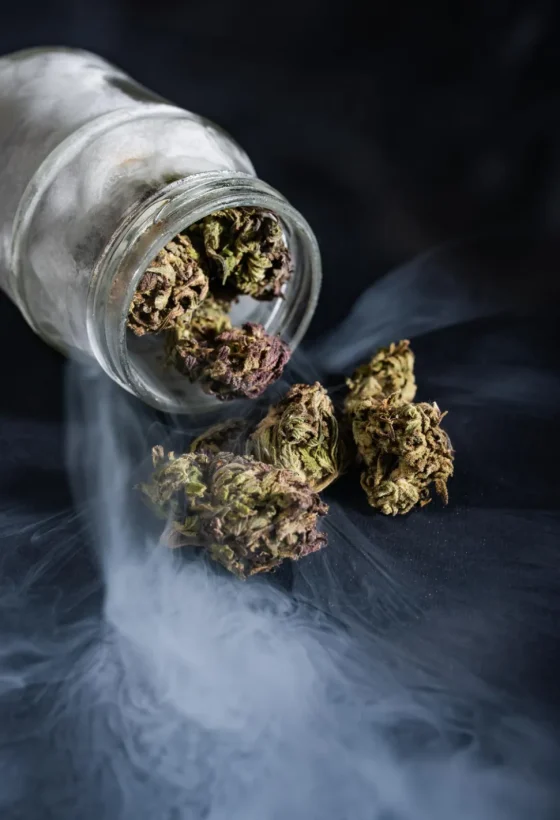 Clubs de cannabis y asociaciones Zaragoza